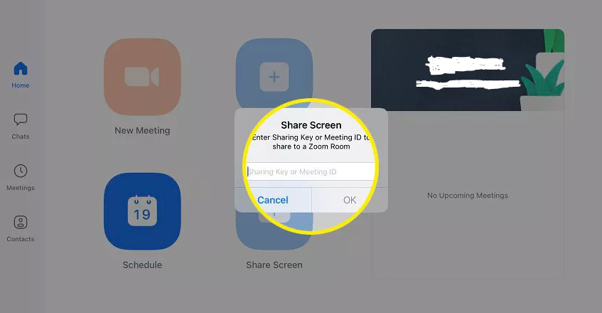 How to Share Your iPad's Screen on Zoom