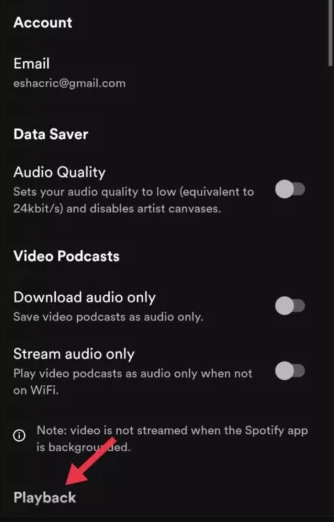 How to Disable or Turn Off Automix on Spotify