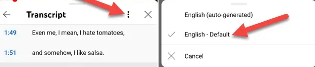 How to Get YouTube Transcripts on iPhone and Android