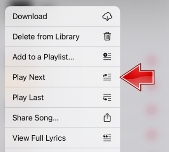How to Queue Songs on Apple Music on iOS