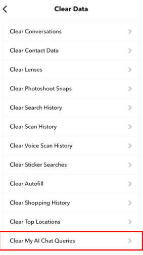 How to Delete My AI Data on Snapchat