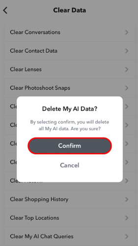 How to Delete My AI Data on Snapchat