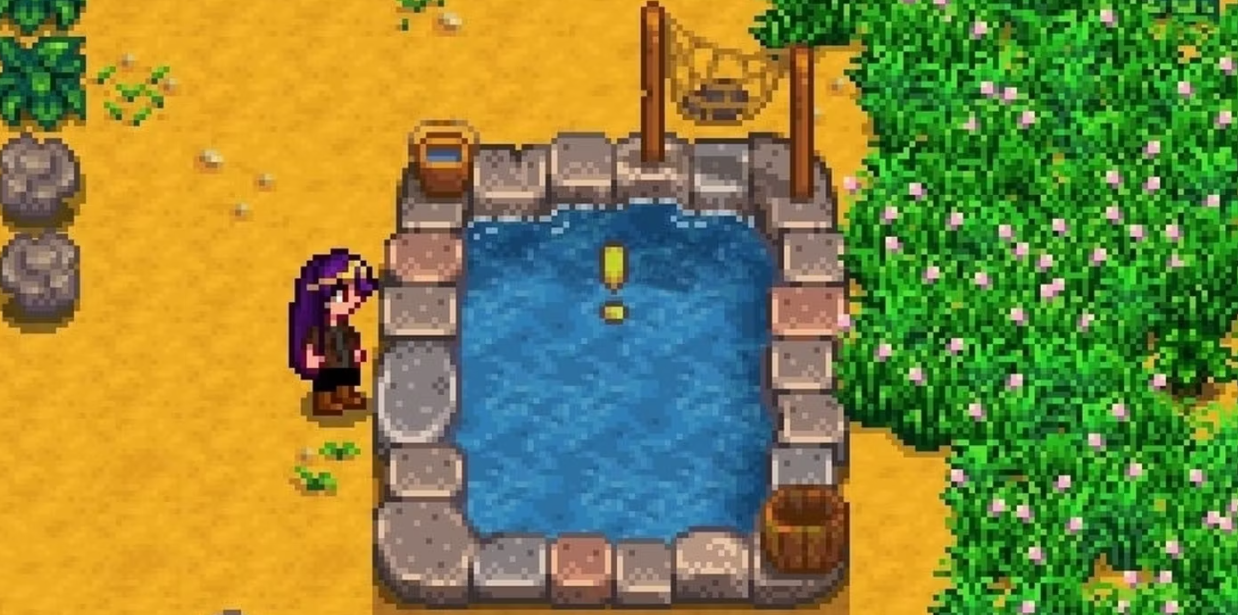 How to Catch a Squid in Stardew Valley