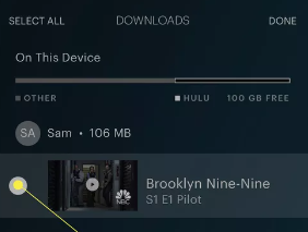 How to Delete Downloaded Shows on Hulu