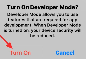 How to Turn On or Enable Developer Mode on iOS 16