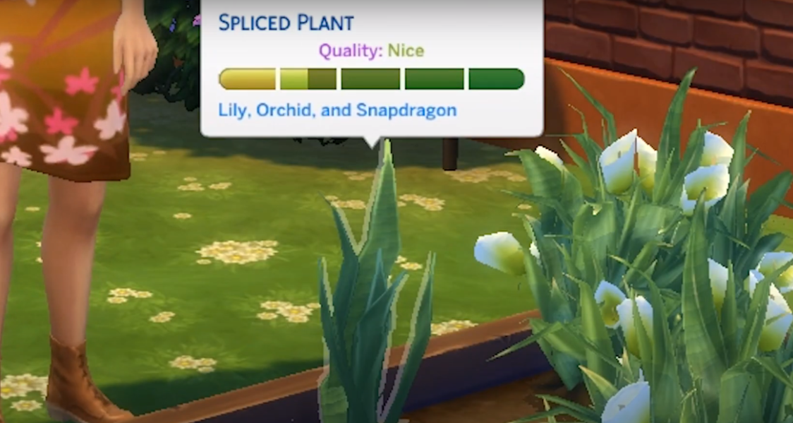 How to Get Death Flower in Sims 4