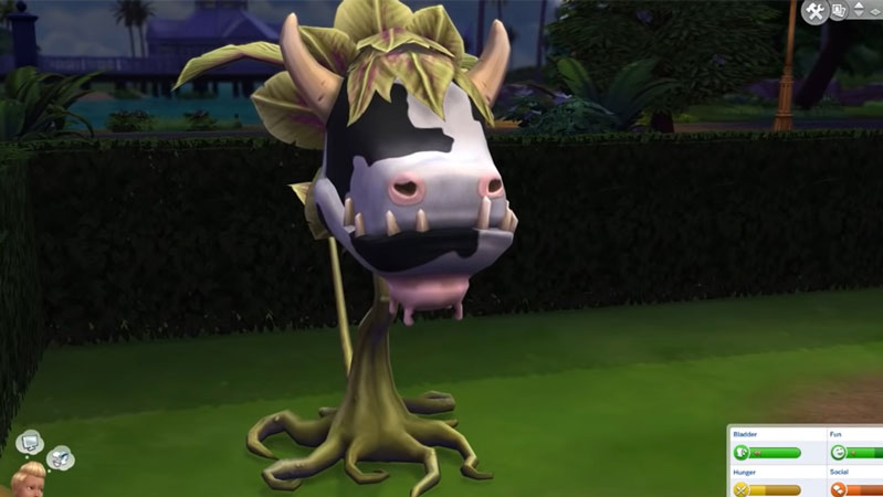 How to Get and Grow a Cow Plant in Sims 4