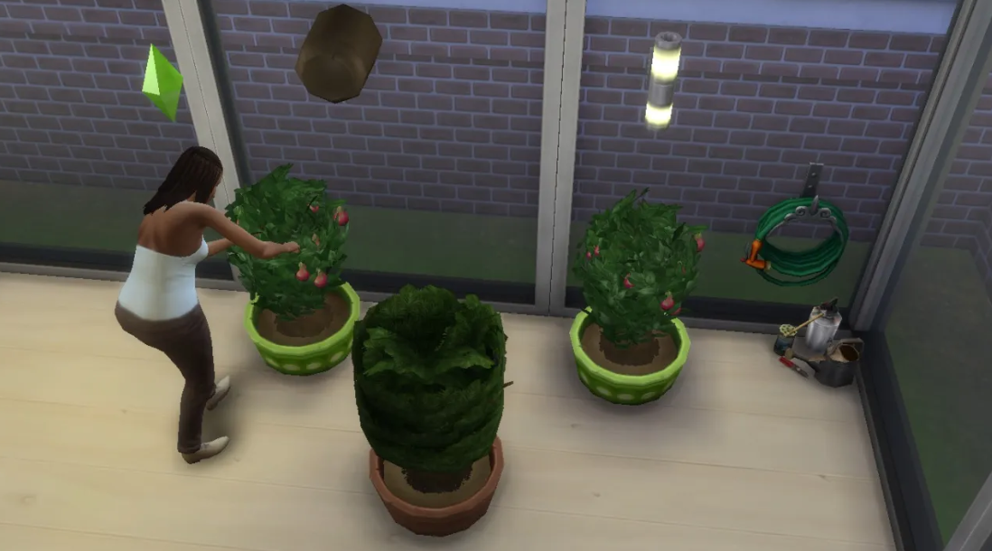 How to Get and Grow a Cow Plant in Sims 4