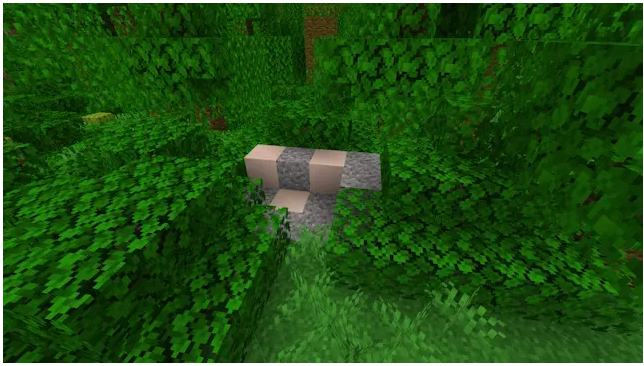 How to Find and Locate Trail Ruins in Minecraft