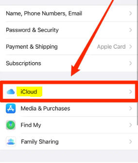 How to Set Up iCloud Storage Sharing on iPhone and iPad