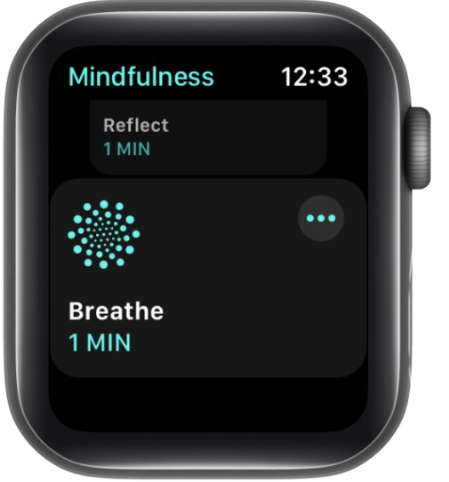 How to Monitor HRV on Apple Watch