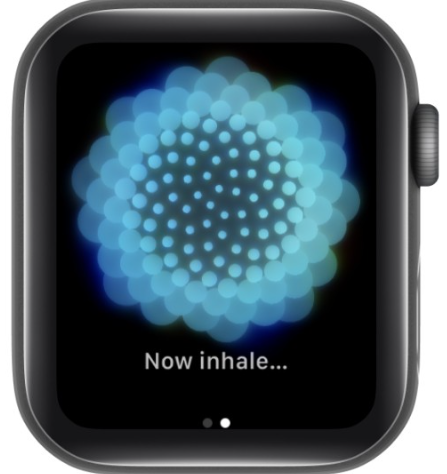 How to Monitor HRV on Apple Watch