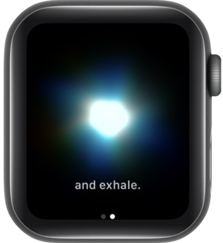 How to Monitor HRV on Apple Watch