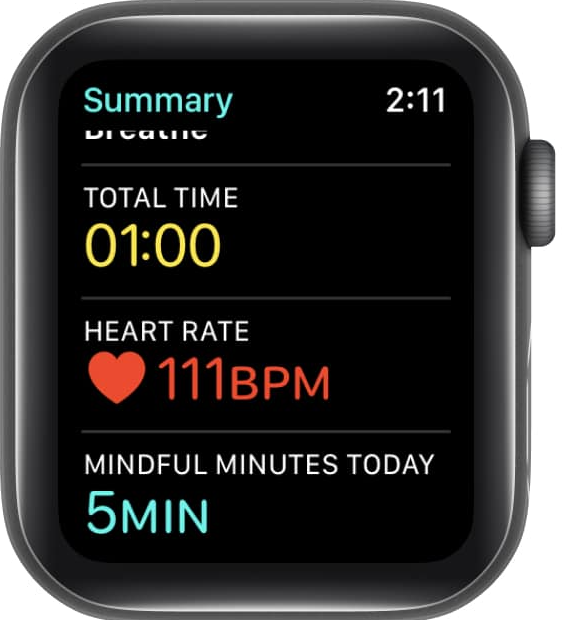 How to Monitor HRV on Apple Watch