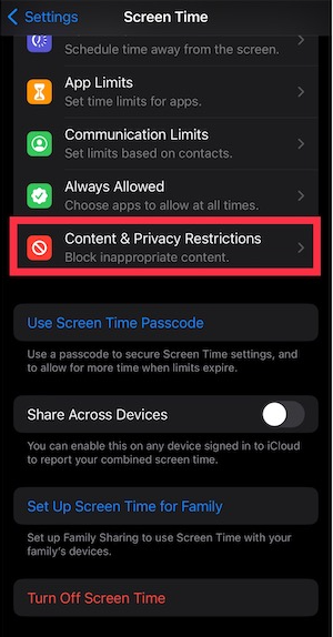 How to Turn Off Screen Recording on iPhone