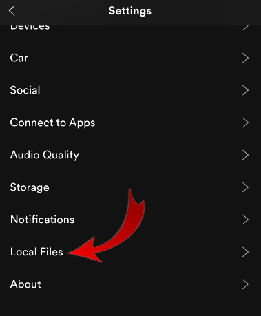 How to Access Local Files to Spotify on iPhone or iPad