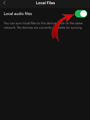 How to Access Local Files to Spotify on iPhone or iPad