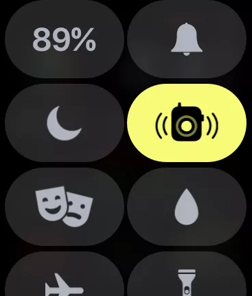 How to Use Apple Watch Theater Mode