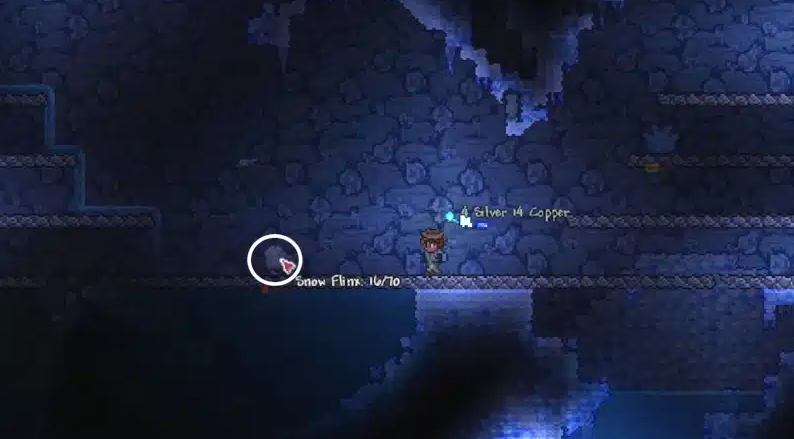 How to Get Flinx Fur in Terraria