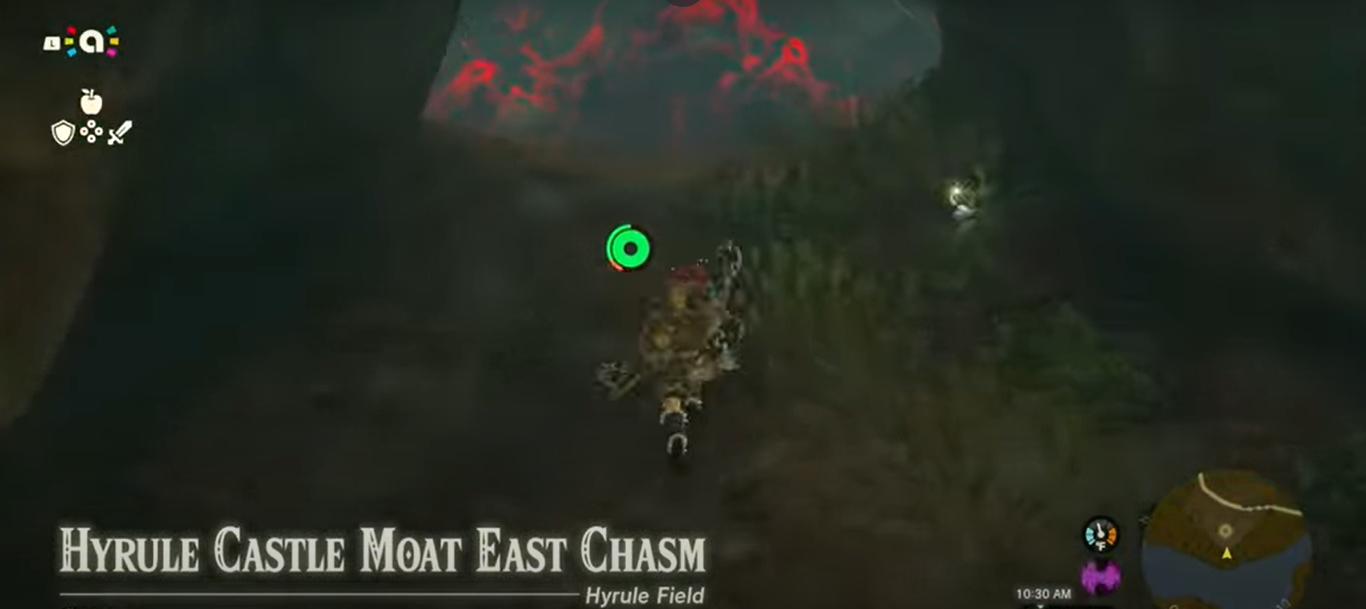 How to Get the Hyrule Forest Park Chasm Lightroot in Tears of the Kingdom