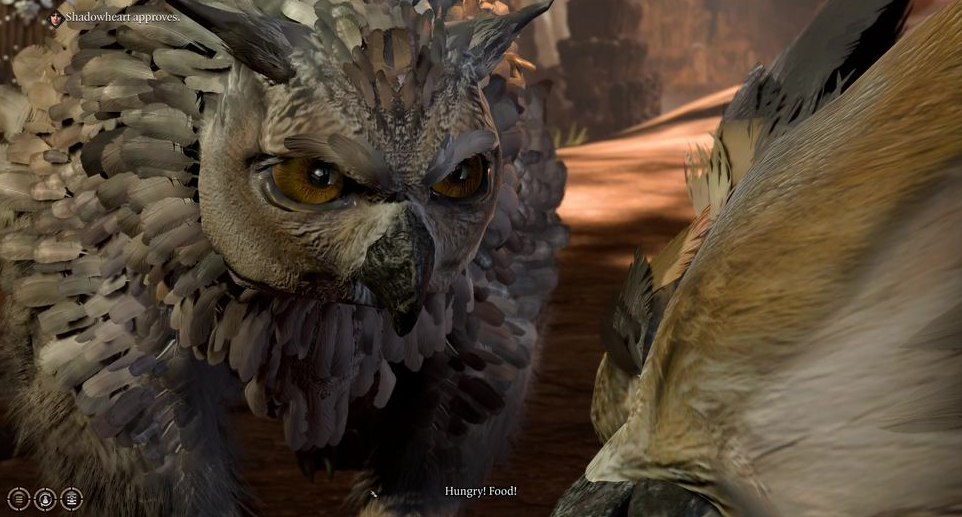 Baldur's Gate 3 - Owlbear Cub Location