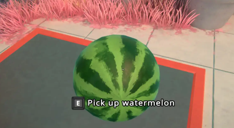 Viewfinder: How to Solve the Watermelon Puzzle