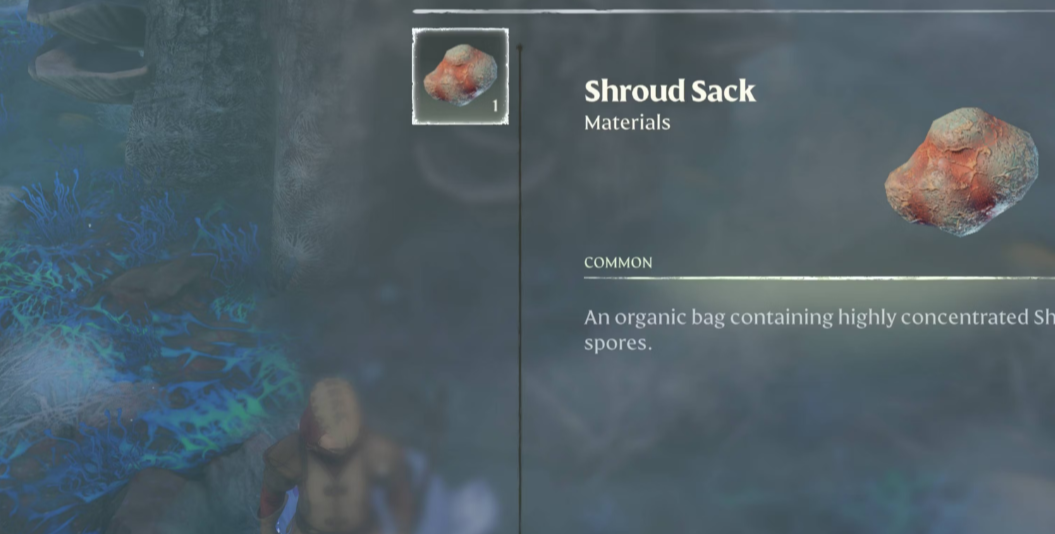 Enshrouded - How to Find Shroud Sack