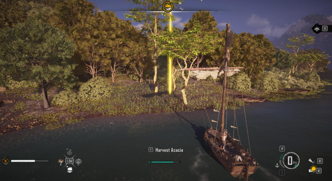 Skull And Bones - How to Harvest Acacia