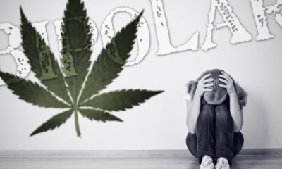 Cannabidiol (CBD) for treating bipolar disorder- It really works
