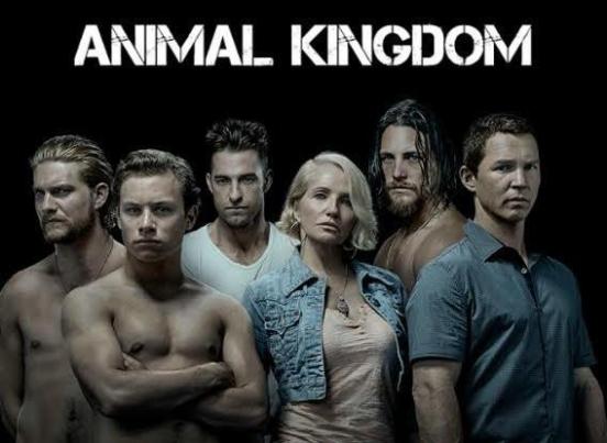 Animal Kingdom Season 4