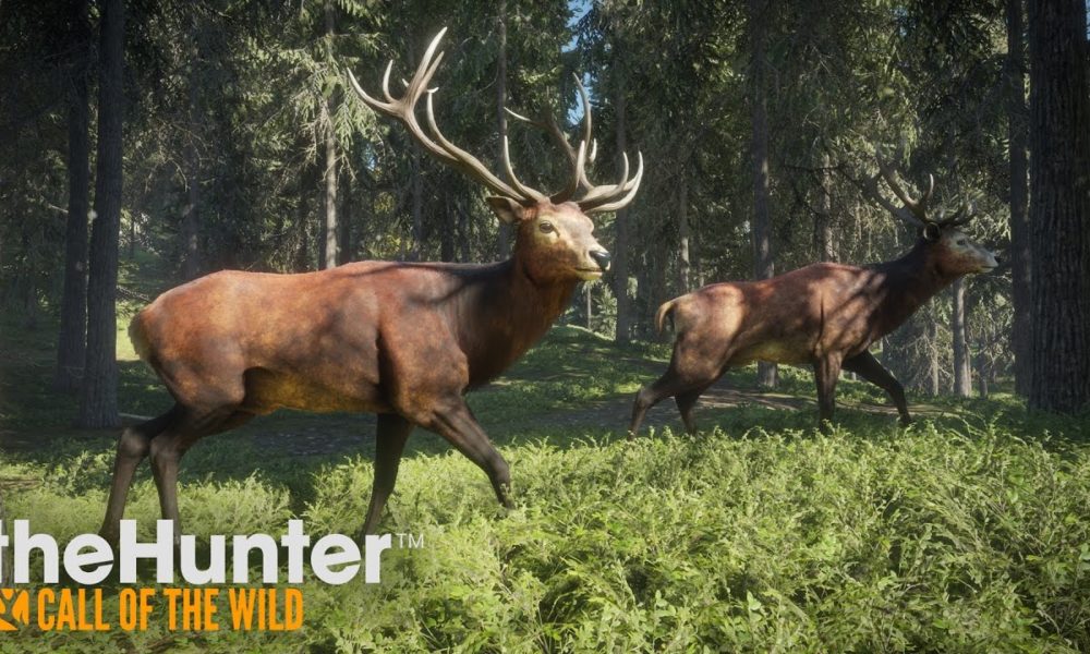 hunter call of the wild free download