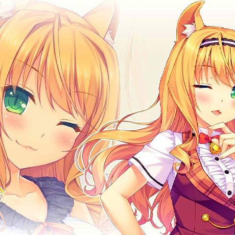 Nekopara Video game series