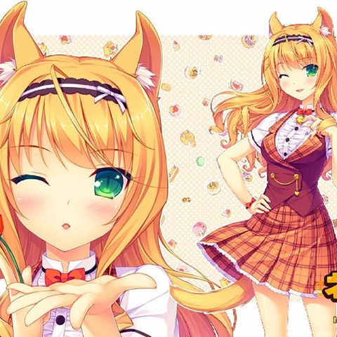 Nekopara Video game series