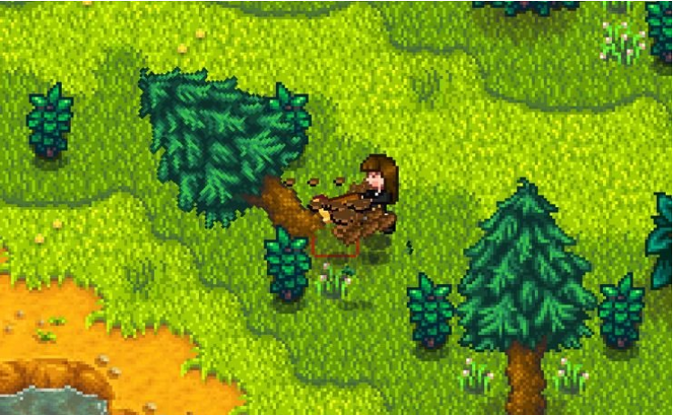 Stardew Valley Forester or Gatherer