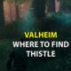 Valheim Thistle