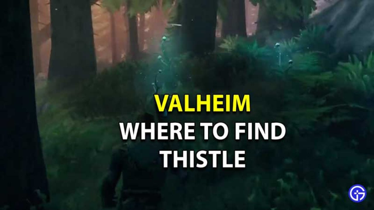 Valheim Thistle