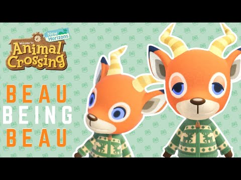 Beau Animal Crossing