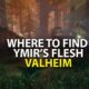 Valheim Ymir Flesh