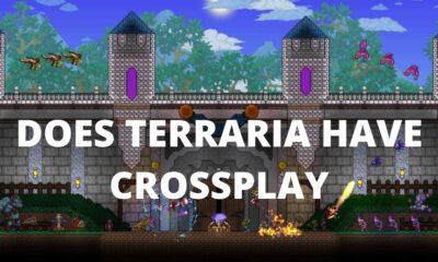 Is Terraria Cross Platform