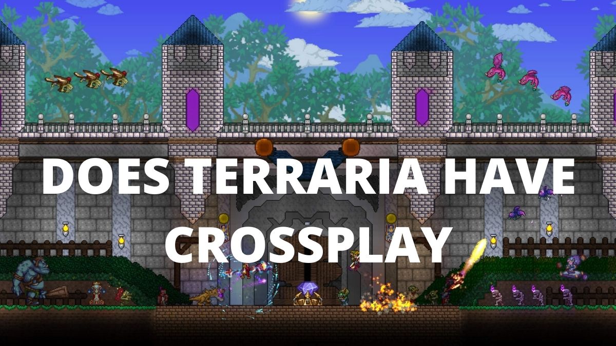 Is Terraria Cross Platform? Is Terraria Crossplay?