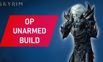 Skyrim Unarmed Build