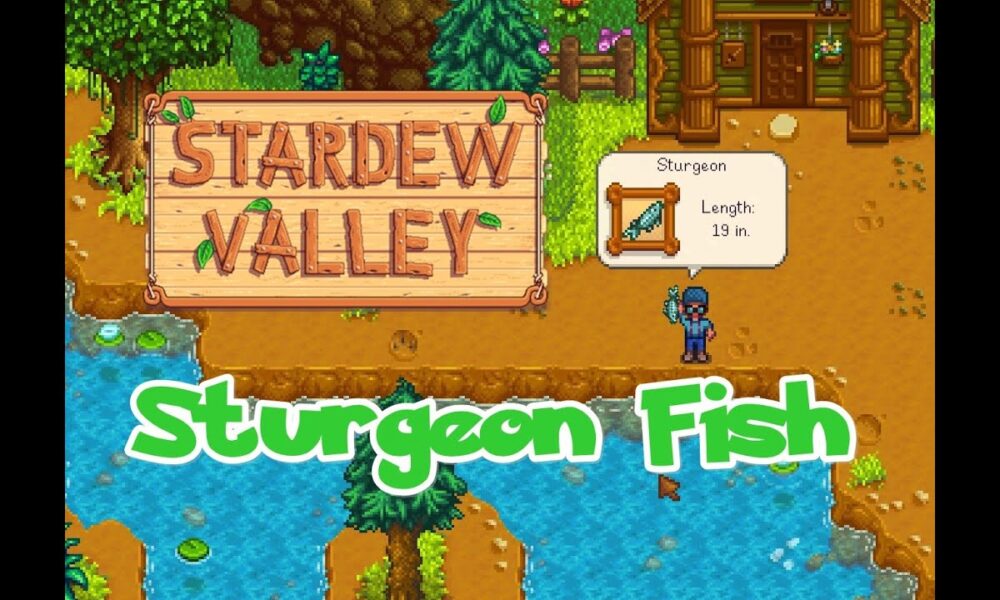 Sturgeon Stardew Valley Location How To Find