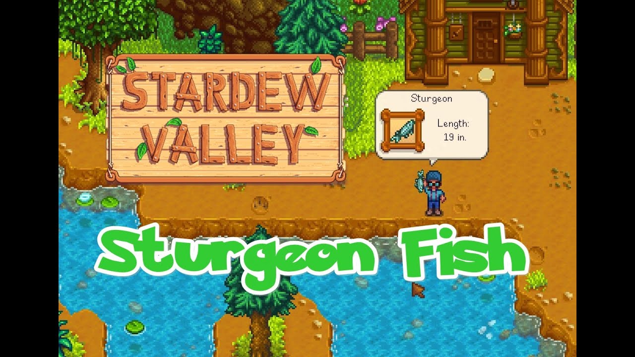 How To Find Sturgeon Stardew Valley Location