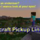 Best Minecraft Pickup Lines