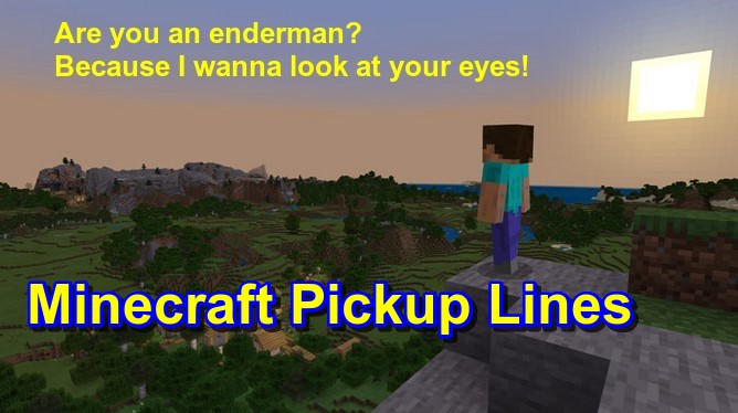 Best Minecraft Pickup Lines