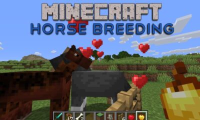 Breed Horses in Minecraft