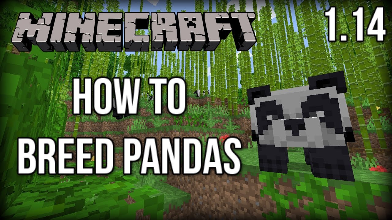Breed Pandas in Minecraft