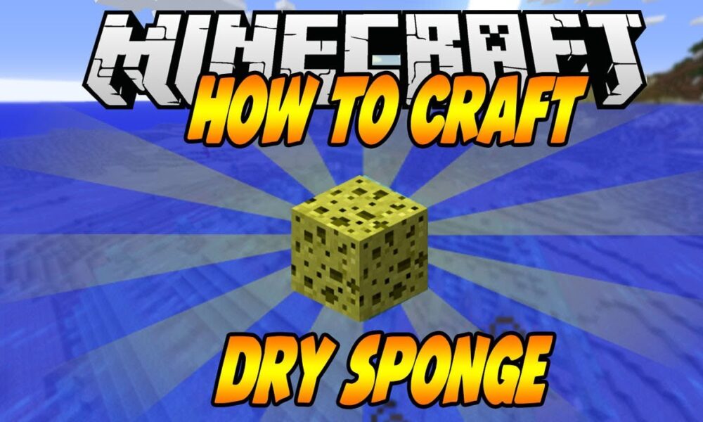 Sponge In Minecraft