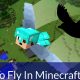 Fly in Minecraft