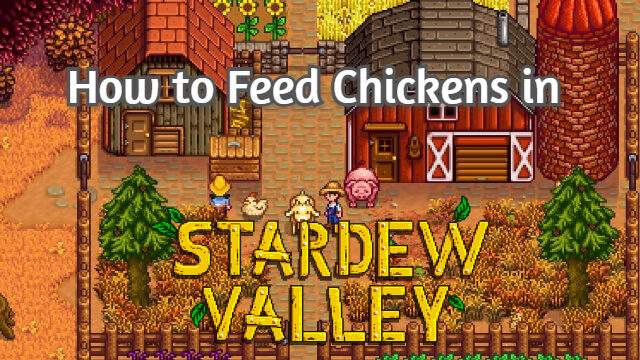 Feed Chickens in Stardew Valley